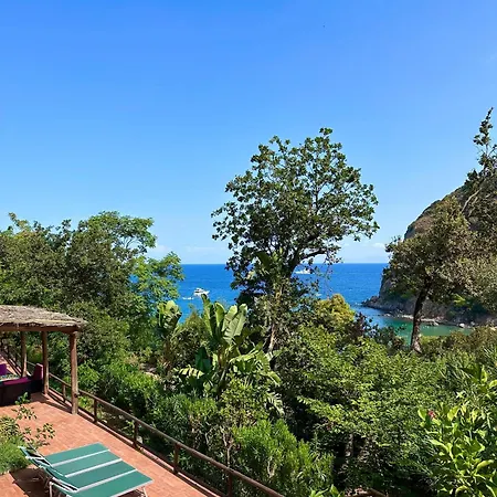 Casa Rosada - Vista Mare - Ischia Forio di Ischia
